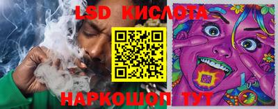 стафф Братск