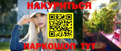 стафф Братск