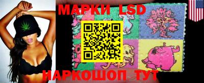стафф Братск