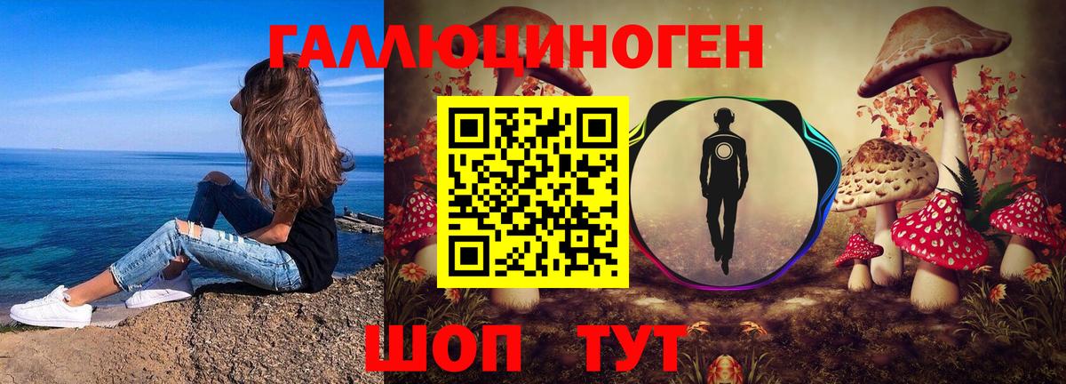 Дивногорск  Галлюциногенные грибы GOLDEN TEACHER  Вход с VPN 