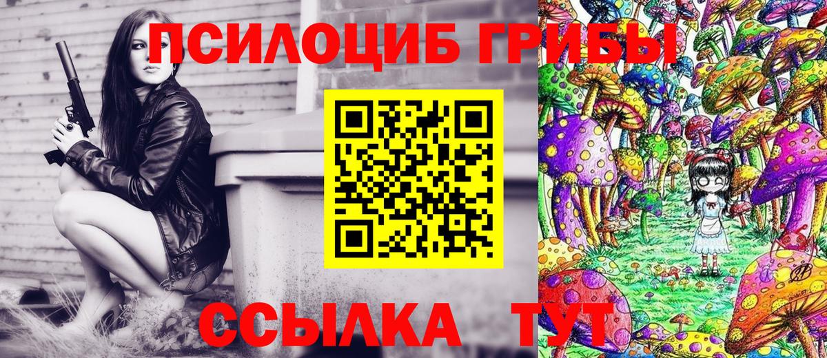 Галлюциногенные грибы Psilocybine cubensis Дивногорск
